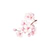 Sakura Blossom Petals Large Vinyl Decal/Static Cling - Image 2